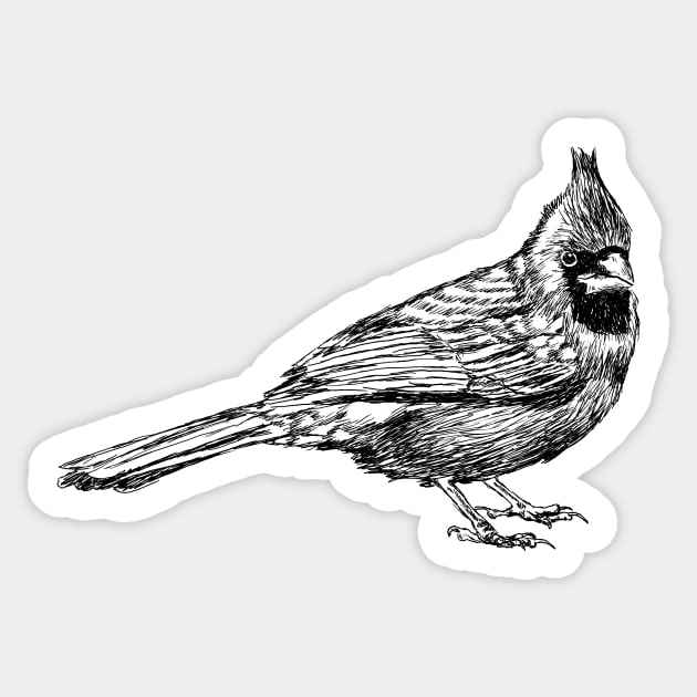 Red Cardinal Illustration. Sticker by rachelsfinelines